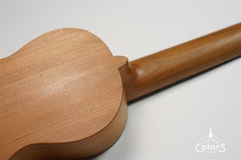 ukulele concert 14 FA.S